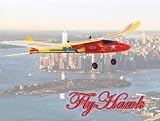 Ferngesteuertes R/C Flugzeug 360 Neu 20km/h FLY HAWK