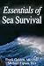 Search : Essentials of Sea Survival