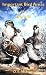 Important Bird Areas of Nevada