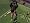 Madden NFL 07 (Xbox)