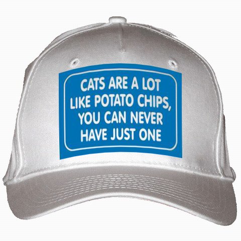 CATS ARE A LOT LIKE POTATO CHIPS, YOU CAN NEVER HAVE JUST ONE White Hat / Baseball Cap