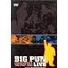 Big Pun Live