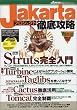 Jakarta�v���W�F�N�g�O��U���\WEB+DB PRESS Special Issue (Java�G�L�X�p�[�g�E�V���[�Y)