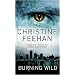 Burning Wild (Leopard People)