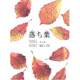 落ち葉