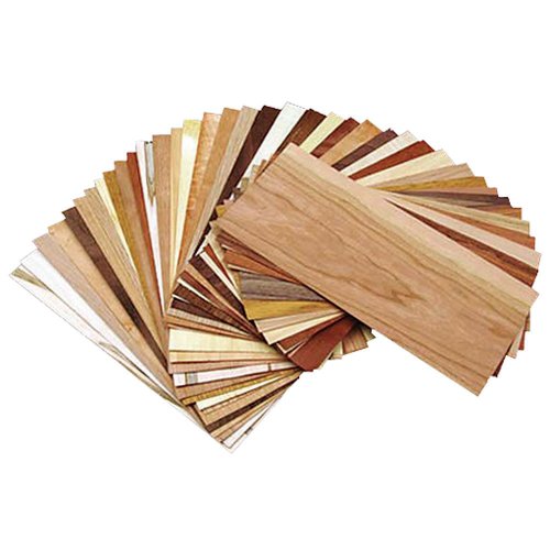 Wood Identification Kit 50 Piece Carolina P. Alvarezer