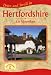 Drive and Stroll in Hertfordshire (Drive & Stroll)