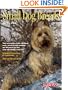 Small Dog Breeds