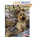 Small Dog Breeds