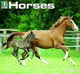 2012 Horses Wall calendar