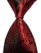 Pisces.goods New Red Paisley Jacquard Woven Men's Tie Necktie Red 57