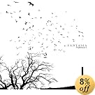 a:FANTASIA �ʏ��:CD Only(+1 Bonus Track)(�݌ɂ���B)