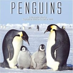 Penguins 2010 Wall Calendar