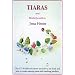 Tiaras and Bridal Jewellery: Projects Using Beads and Wire
