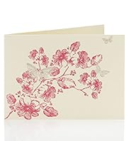 Classic Cream Pink Floral Multipack Cards