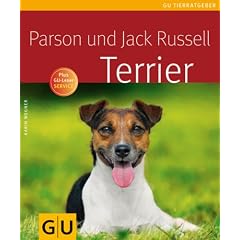 Parson und Jack Russell Terrier