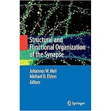 Structural and Functional Organization of the Synapse (Hardcover)