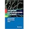 Structural and Functional Organization of the Synapse (Hardcover)