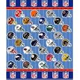 NFL MICRO SUPER PLUSH RASCHEL THROW-BLANKET