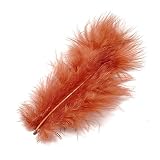 G&uuml;termann / KnorrPrandell 6619126 - Marabufedern 10cm lachs, 15 St&uuml;ck/Beutel