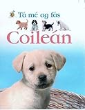 Coileán