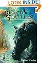 The Black Stallion
