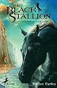 The Black Stallion
