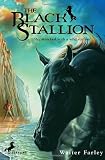 The Black Stallion