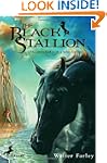 The Black Stallion