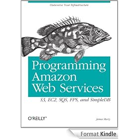 Programming Amazon Web Services: S3, EC2, SQS, FPS, and SimpleDB