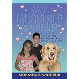 My Invisible World