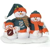 Miami Dolphins Table Top Snow Family