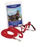 Premier Pet Come with me Kitty Harness Medium Red