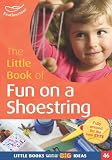 The little book of fun on a shoestring : cost-conscious ideas for early years activities
