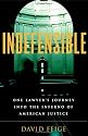 Indefensible: One Lawyer's Journey into the Inferno of American Justice