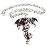 Chemical Wedding Alchemy Gothic Necklace