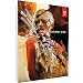 Adobe Illustrator CS6