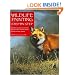 Wildlife Painting Step By Step