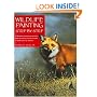 Wildlife Painting Step By Step