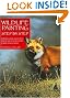 Wildlife Painting Step By Step