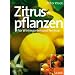 Zitruspflanzen. Für Wintergarten und Terrasse
