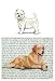 West Highland Terrier Glass Cutting Board