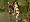 The Sims: Castaway Stories (PC DVD)