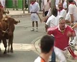Seven Bullruns in One Day
