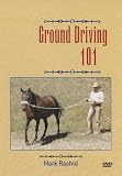 Ground Driving 101