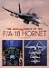 The "AirForces Monthly" Book of the F/A-18 Hornet