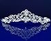 SparklyCrystal Silver Rhinestone Crystal Bridal Wedding Prom Tiara Crown 10036