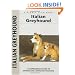 Italian Greyhound (Kennel Club Dog Breed Series)