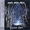 Axel Rudi Pell Picture 4