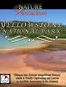 Nature Wonders YELLOWSTONE NATIONAL PARK USA
